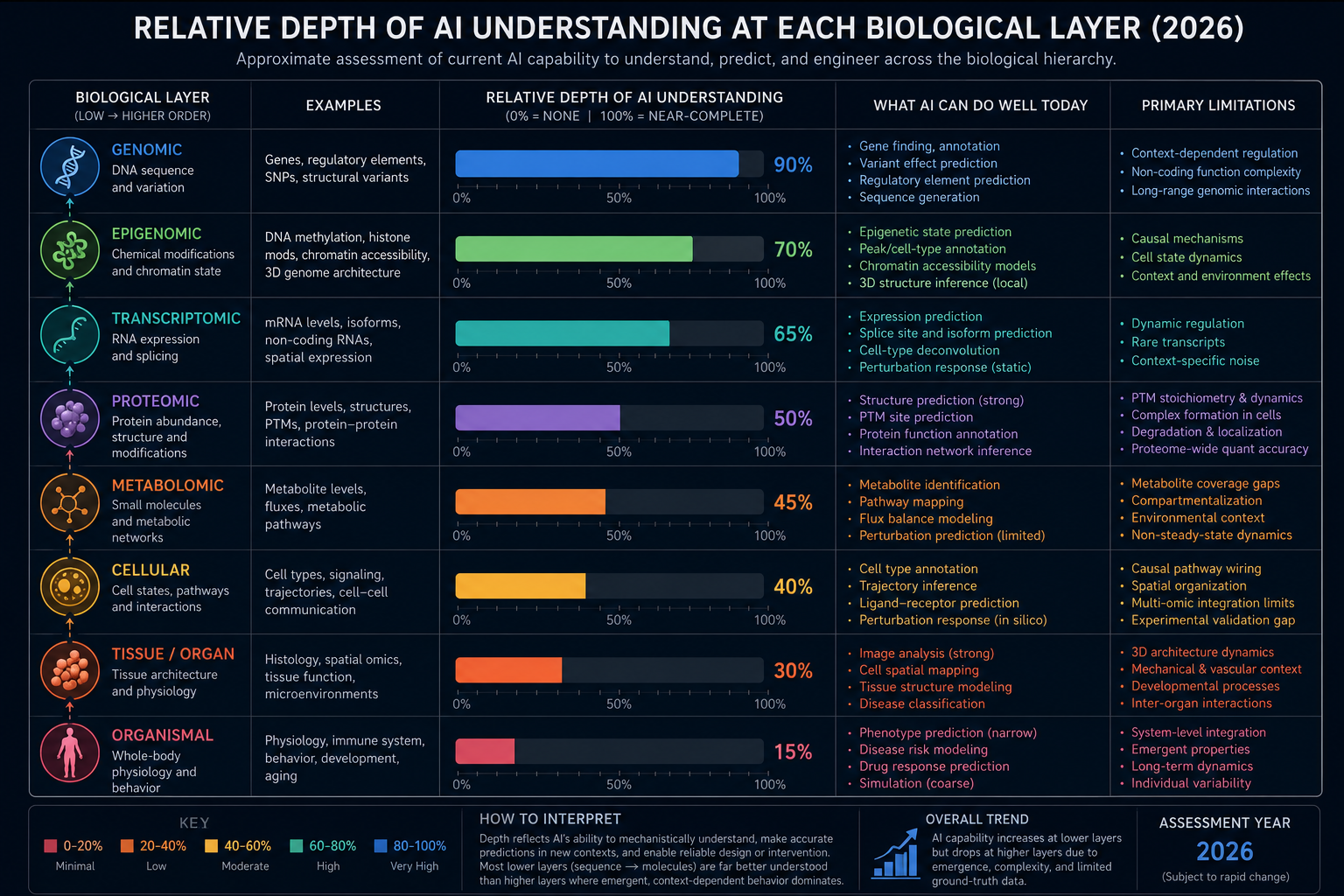 Approximate relative depth of AI understanding at each biological layer, 2026