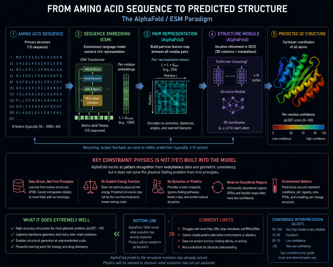 From amino acid sequence to predicted structure The AlphaFold / ESM paradigm, with key constraint noted